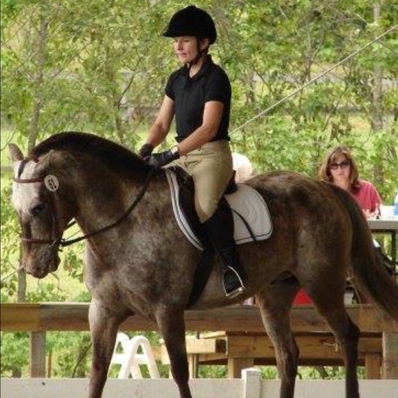 Meet your Posher, Elizabeth - Picture 6 of 8